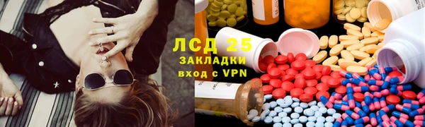 винт Верея