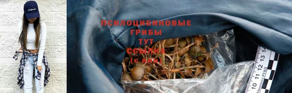 индика Верхний Тагил
