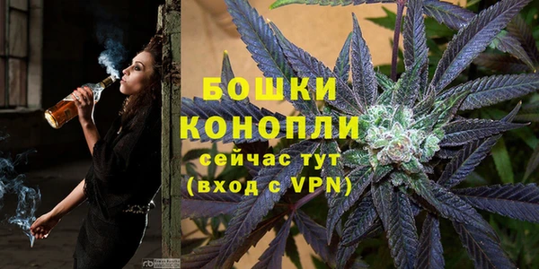 индика Верхний Тагил