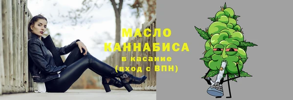 индика Верхний Тагил