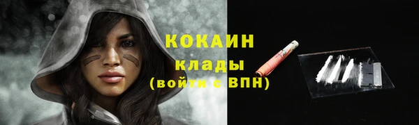индика Верхний Тагил