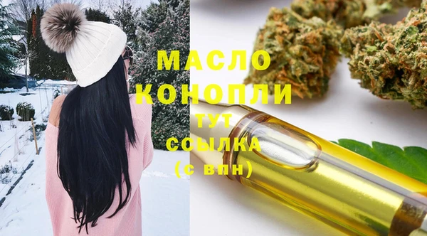 индика Верхний Тагил