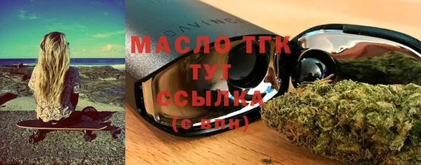 индика Верхний Тагил