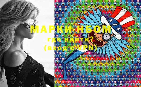 индика Верхний Тагил