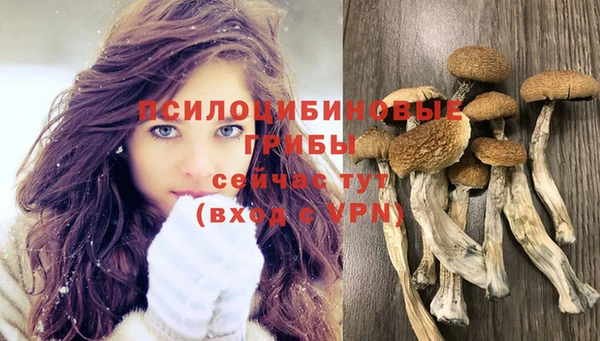 винт Верея