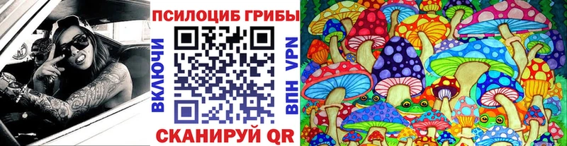Псилоцибиновые грибы Psilocybe  где купить   Весьегонск 
