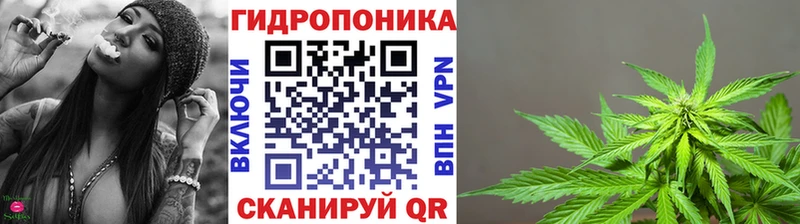 Бошки Шишки Amnesia  Весьегонск 